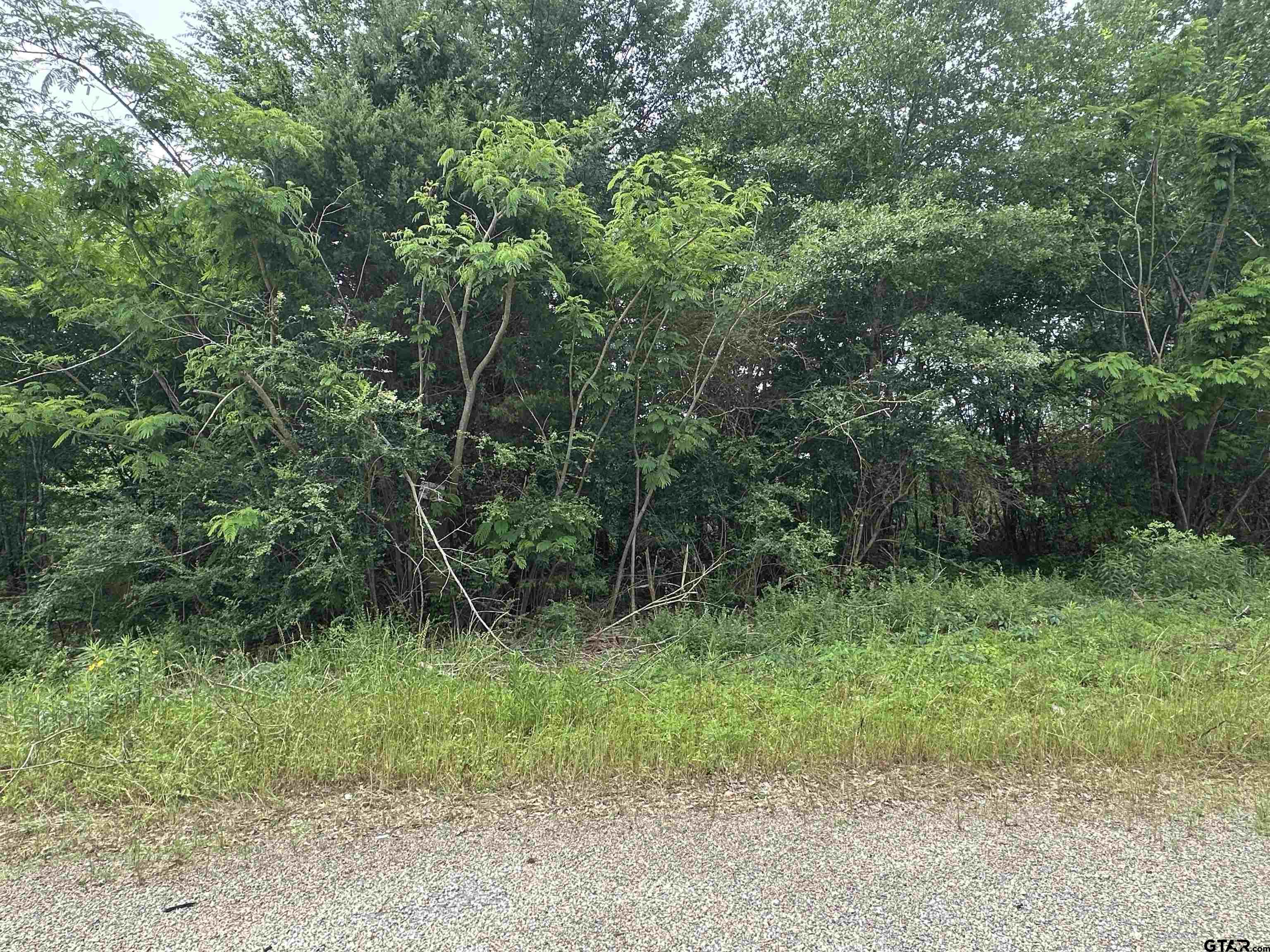 TBA E Hwy 31