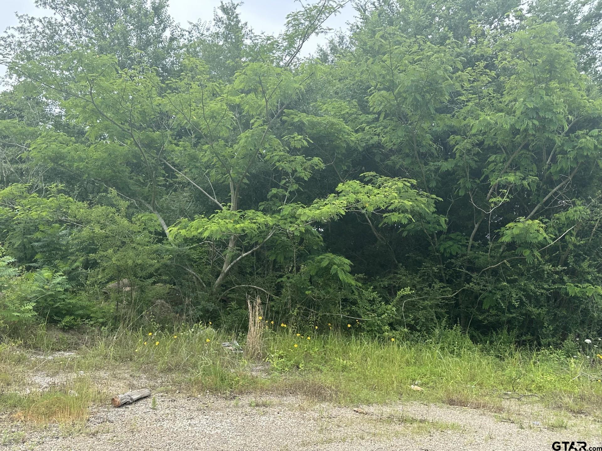 TBA E Hwy 31