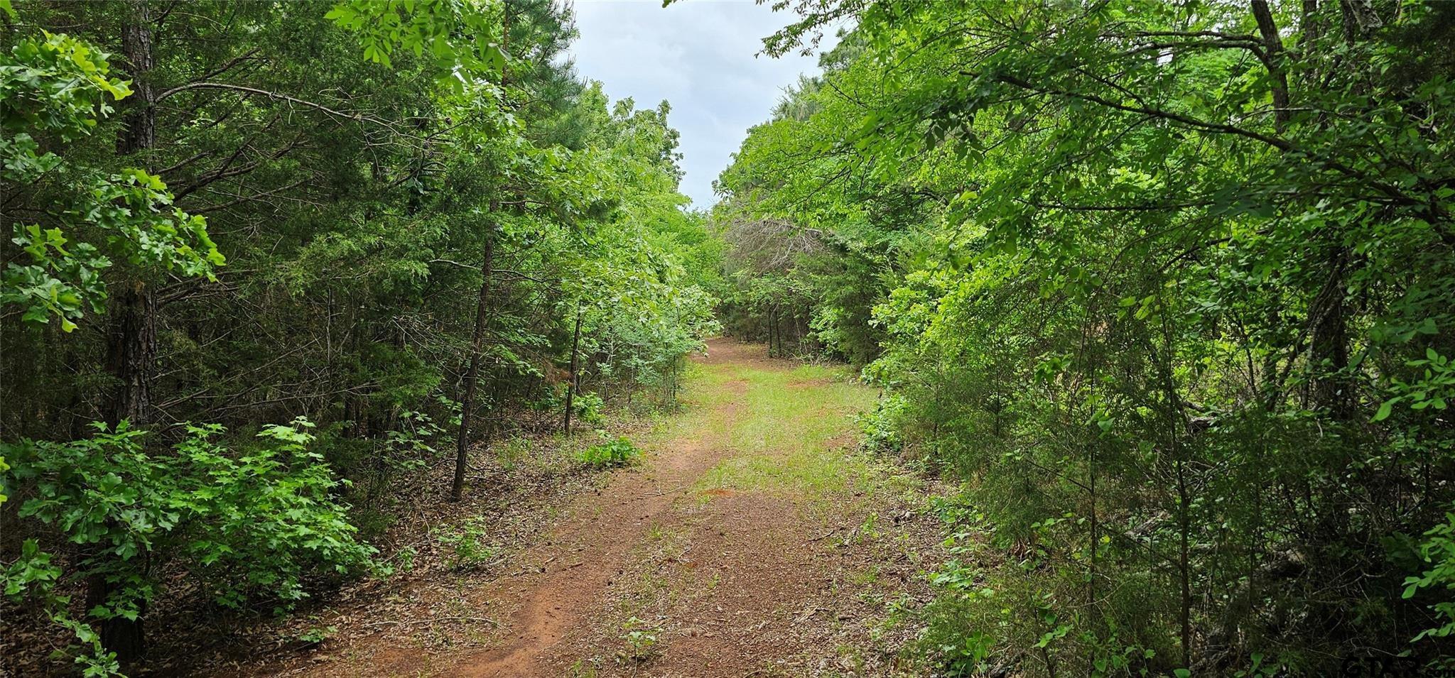 TBD Vz County Road 4814