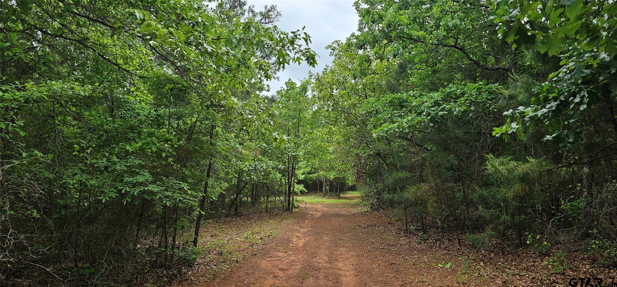 TBD Vz County Road 4814