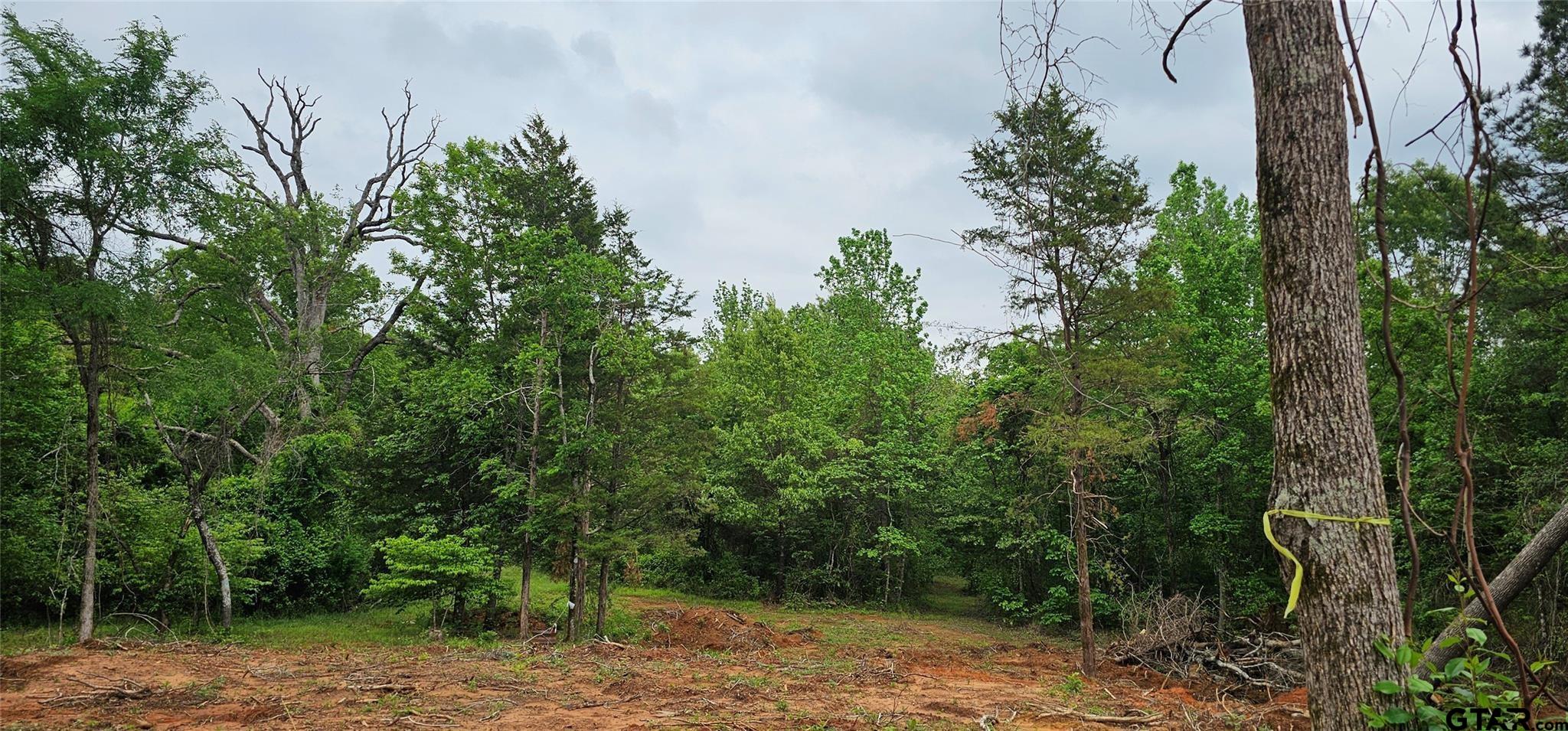 TBD Vz County Road 4814