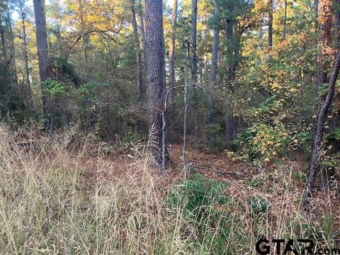 1657 Pineview DR Hideaway TX 75771