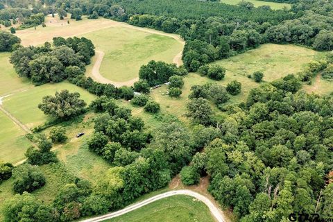 21393 CR 116 Tyler TX 75703