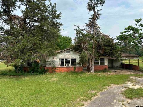 148 County Road 3846 Hawkins TX 75765