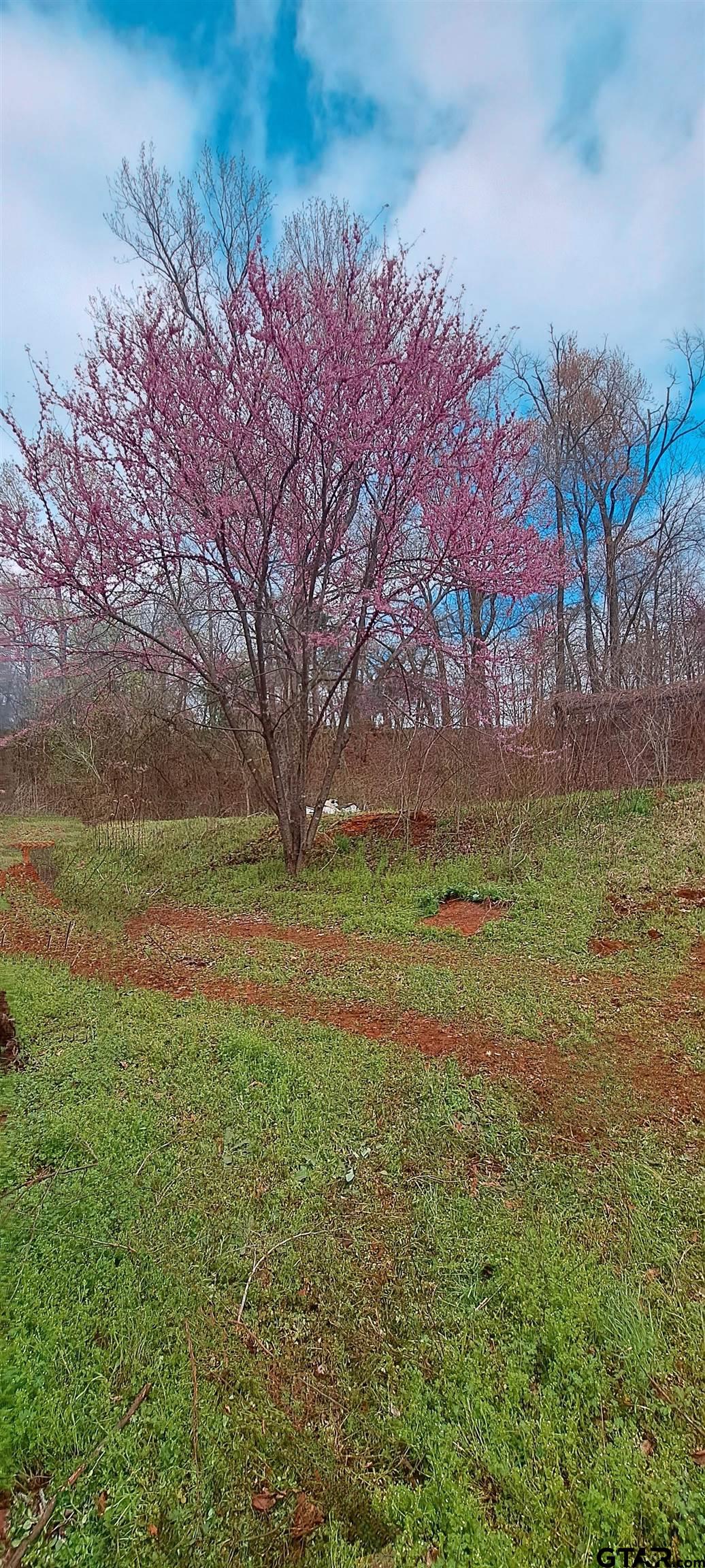 10774 CR 494 (multiple addresses)