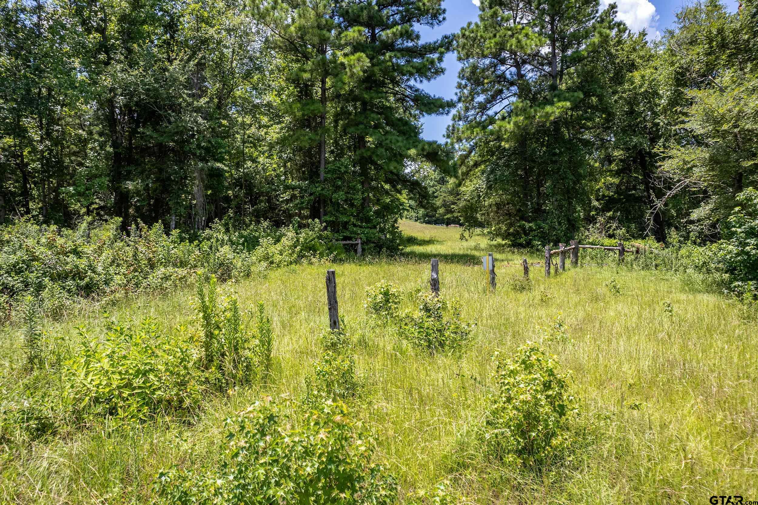 Lot 71 Star Mountain