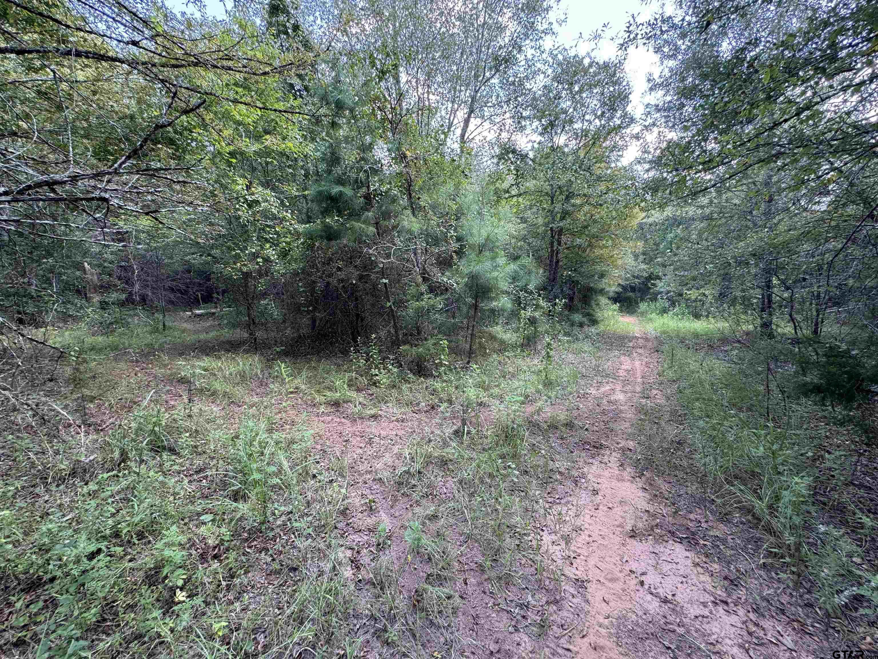 000 Meadow View Lane
