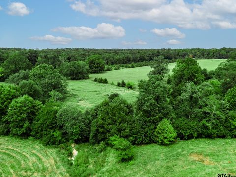 4479 FM 3098 Maud TX 75567