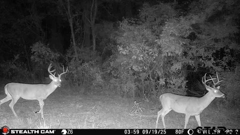 TBD W HWY 80 Mineola TX 75773