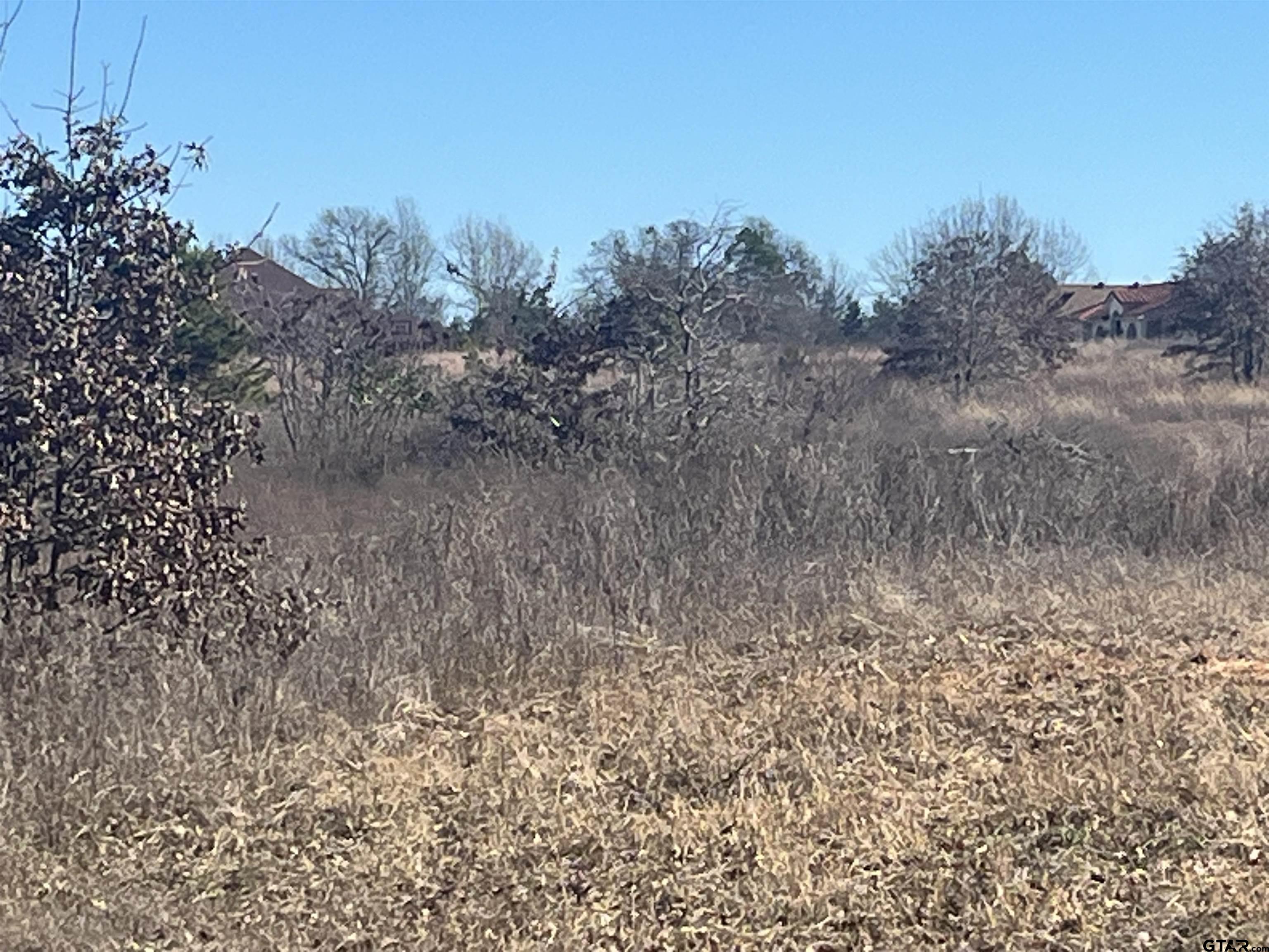 CR 431 E (Jim Hogg Road)