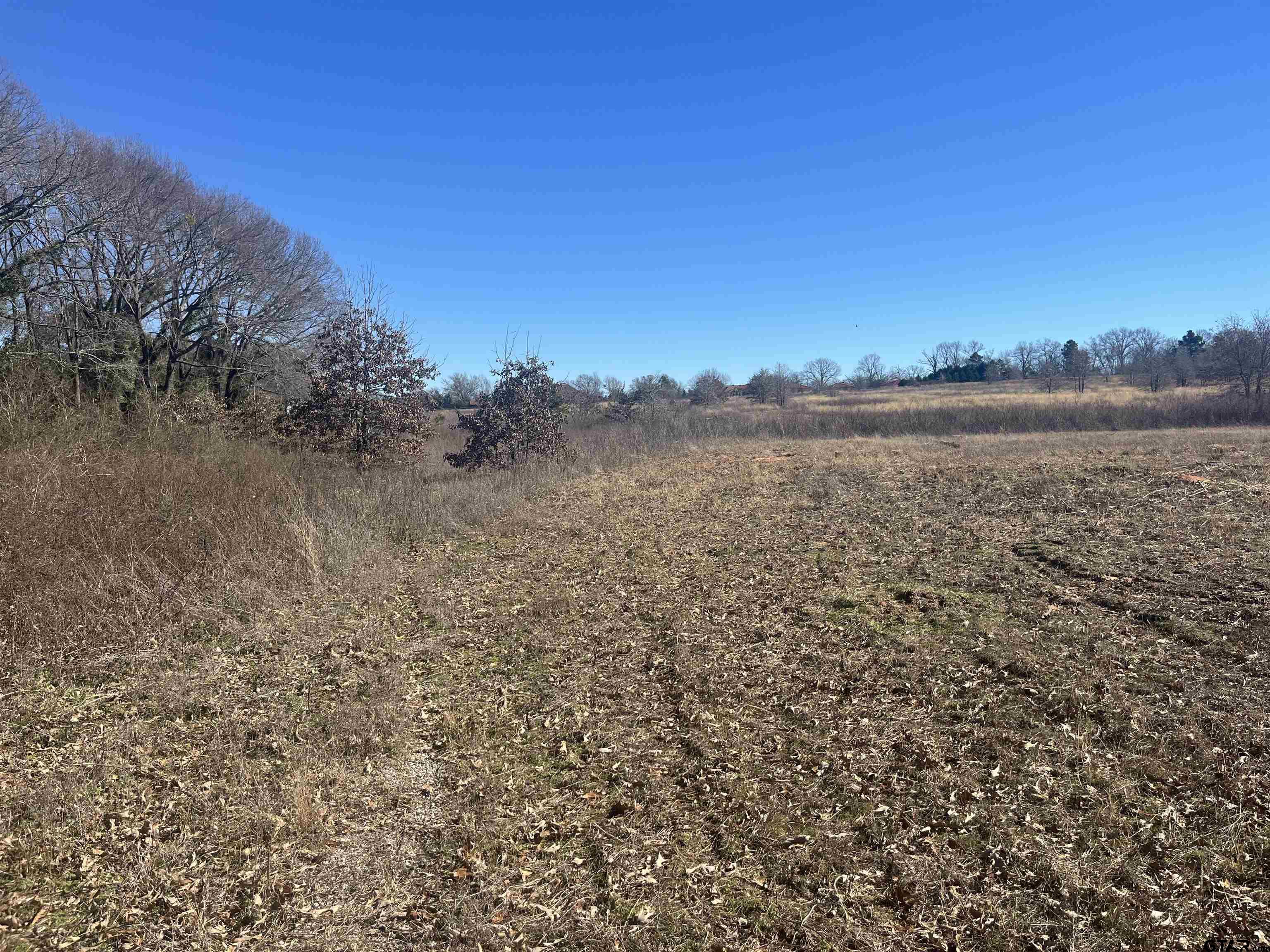 CR 431 E (Jim Hogg Road)
