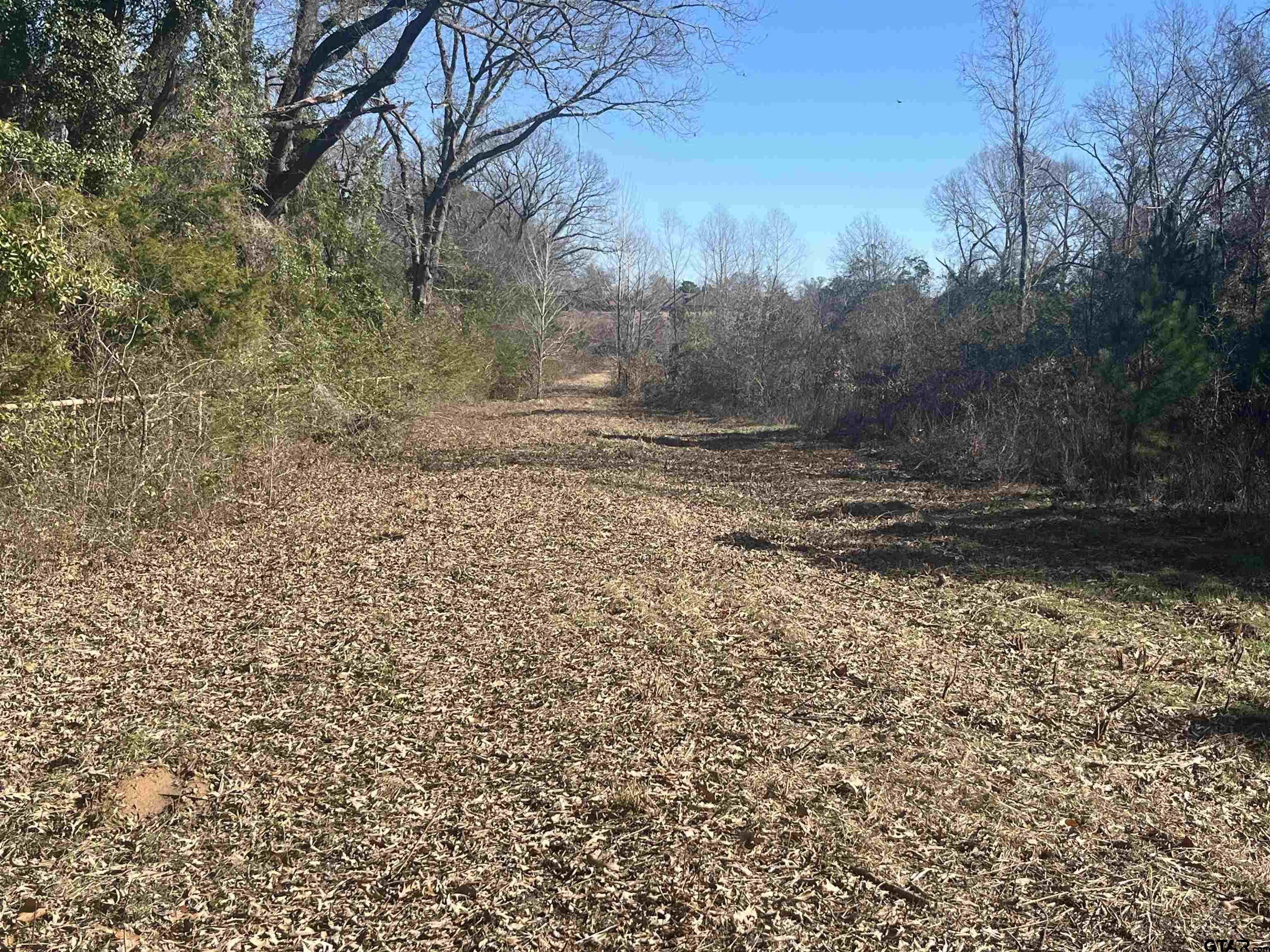 CR 431 E (Jim Hogg Road)
