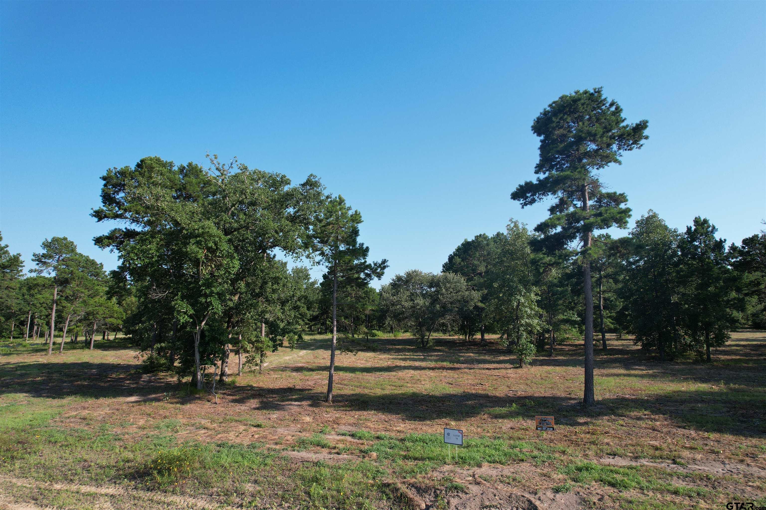 Photo 1 of 6 — 3145 Shadow Pine Dr, LaRue, TX 75770