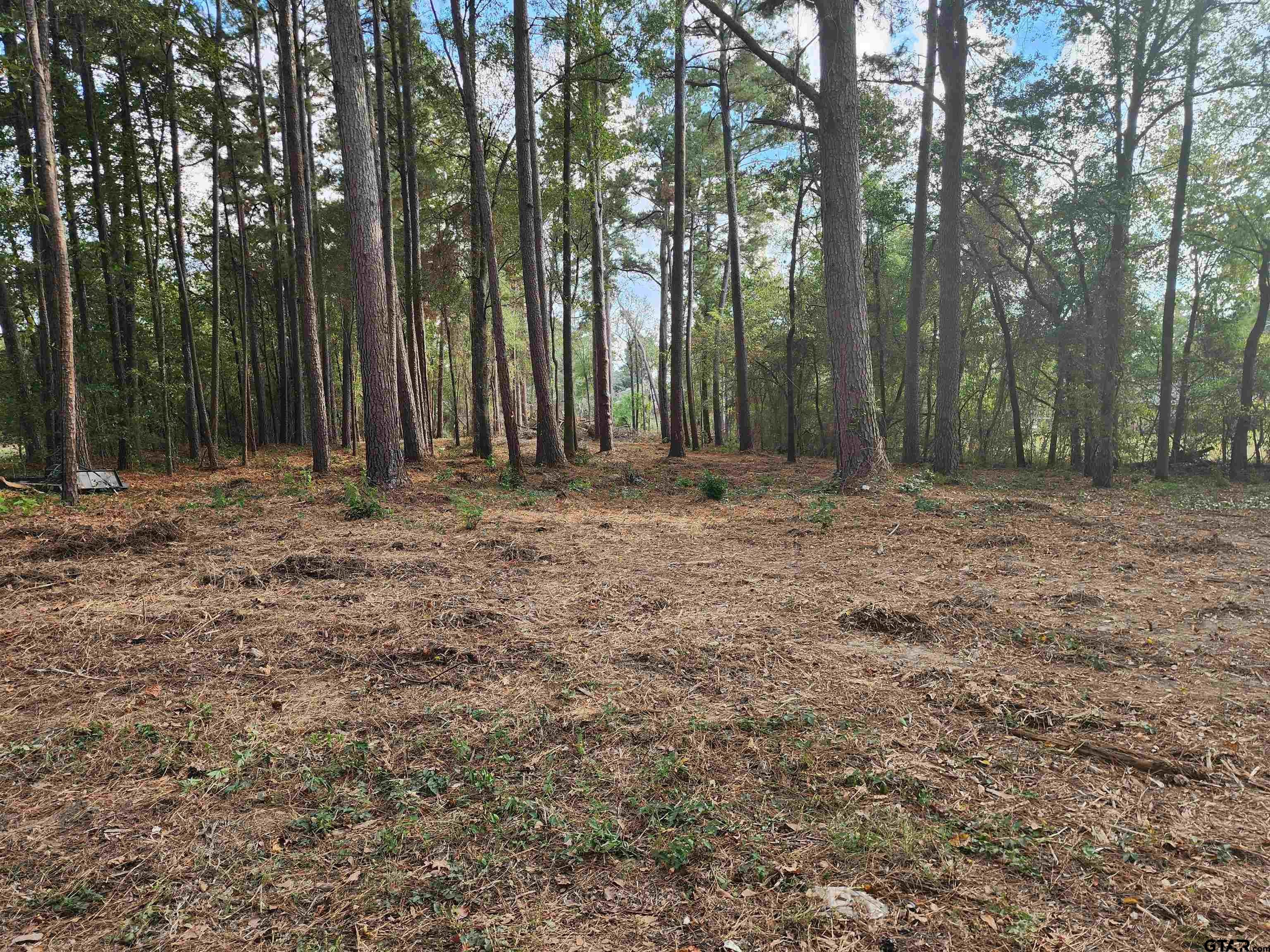 371 County Road 4152