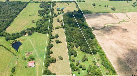 1122 CR 2381 Winnsboro TX 75494