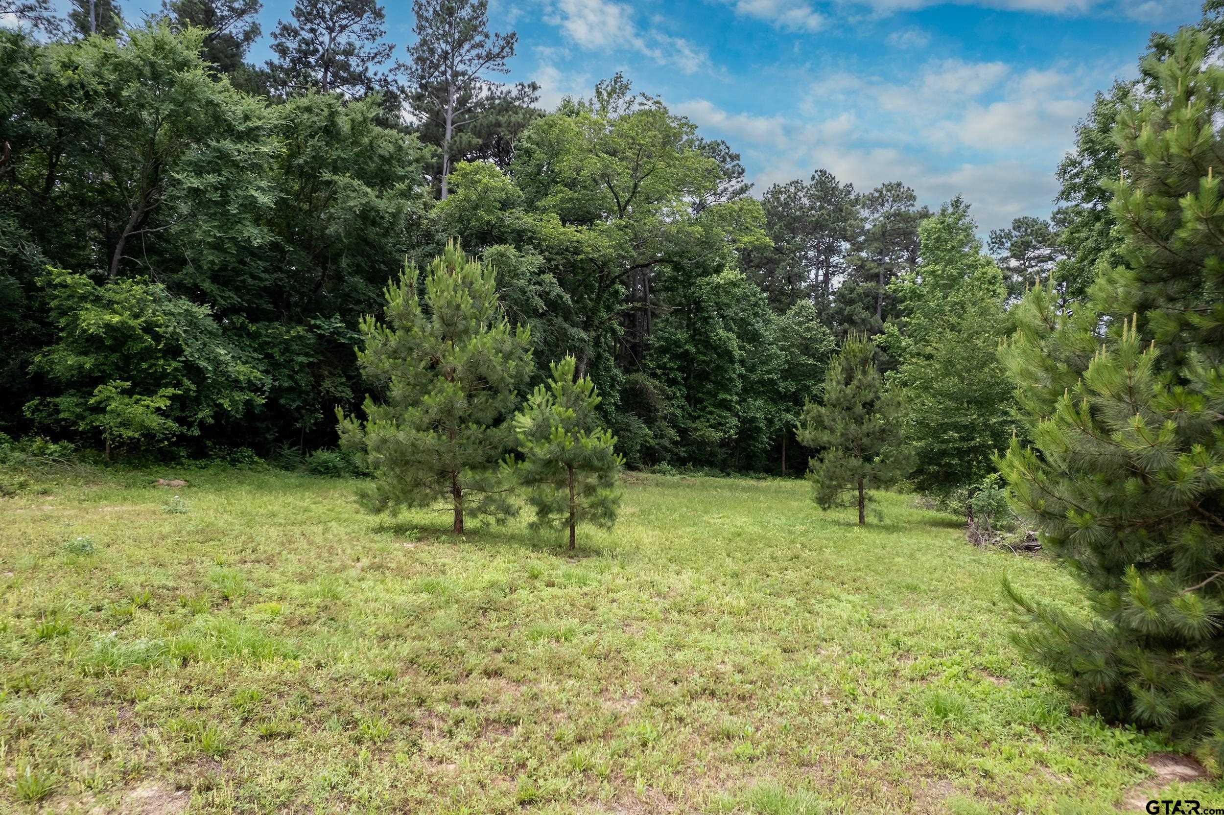 Lot 2 Castleberry St.