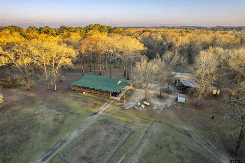 20304 Hwy 155 N Winona TX 75792