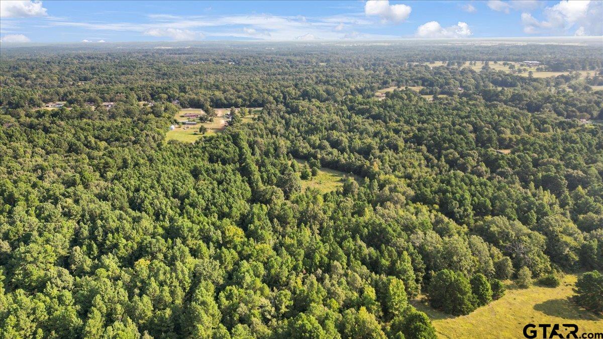 16508 Highway 31 East