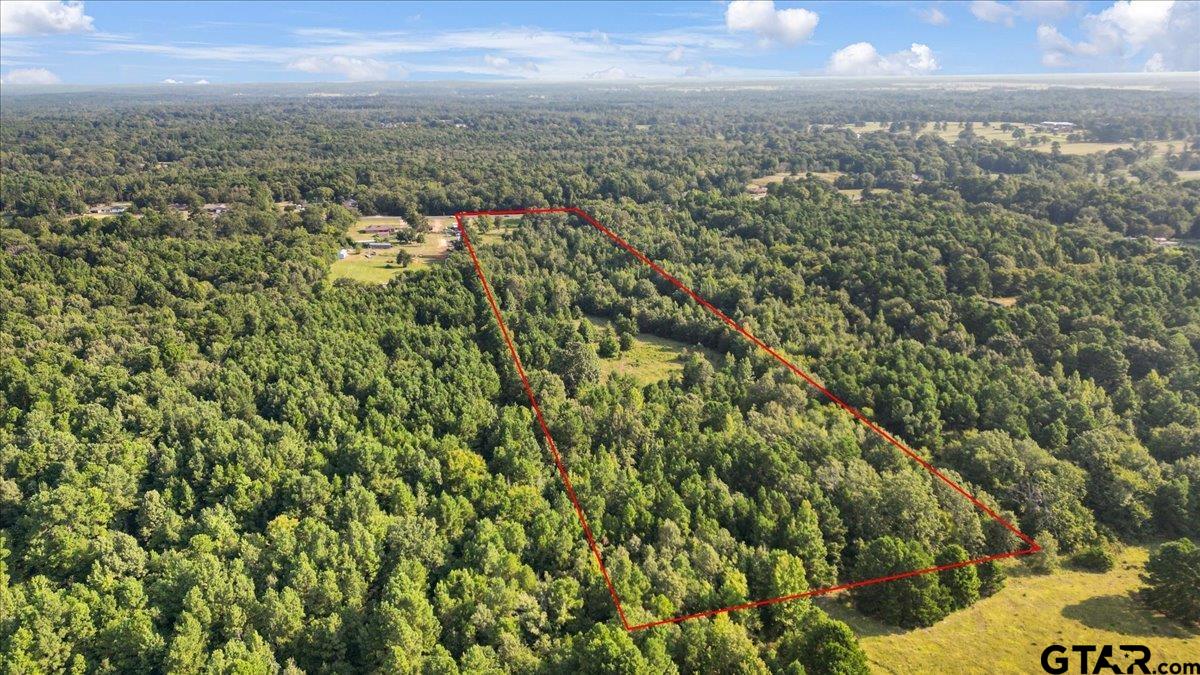 16508 Highway 31 East