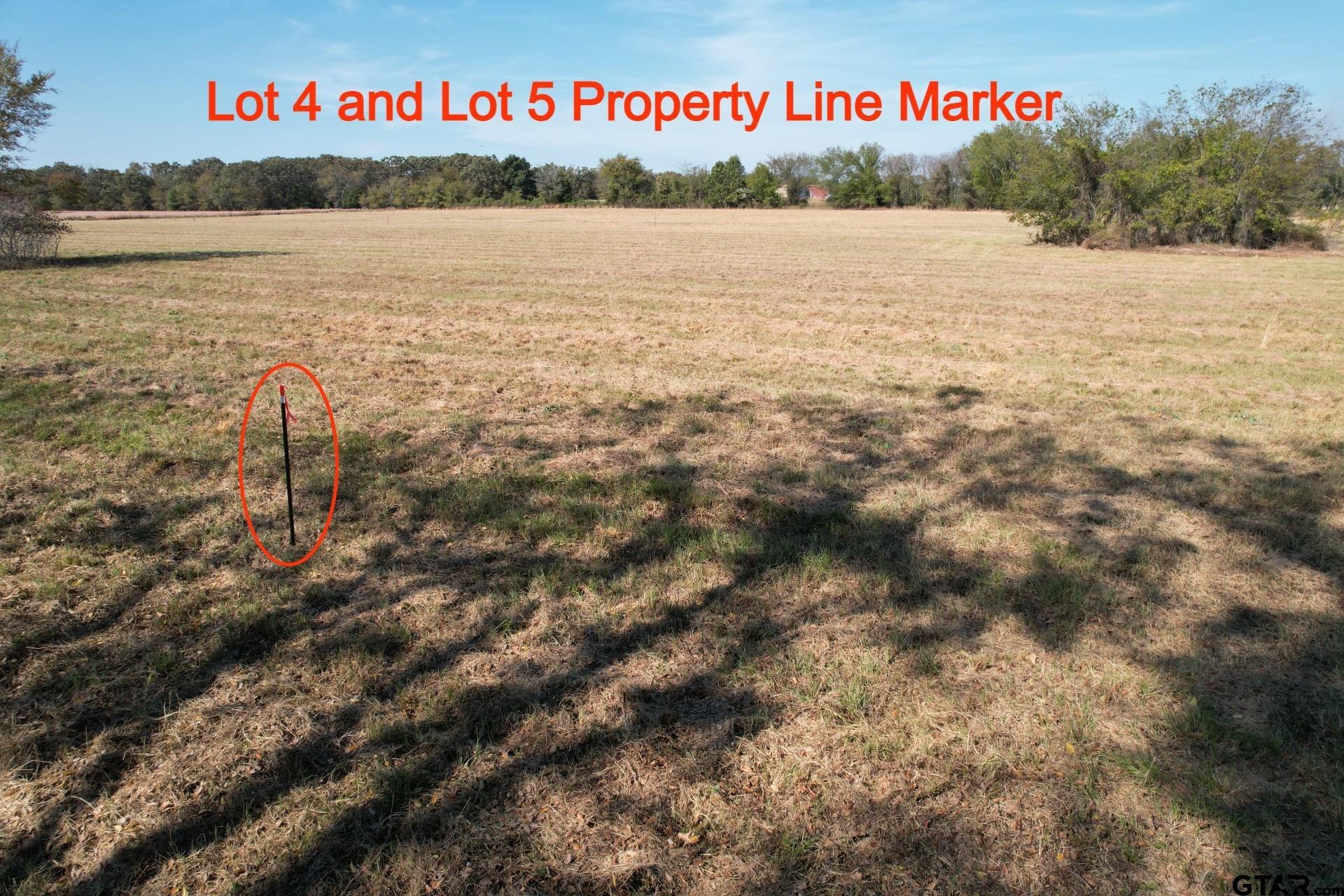 Lot 4 RS County Road 3150