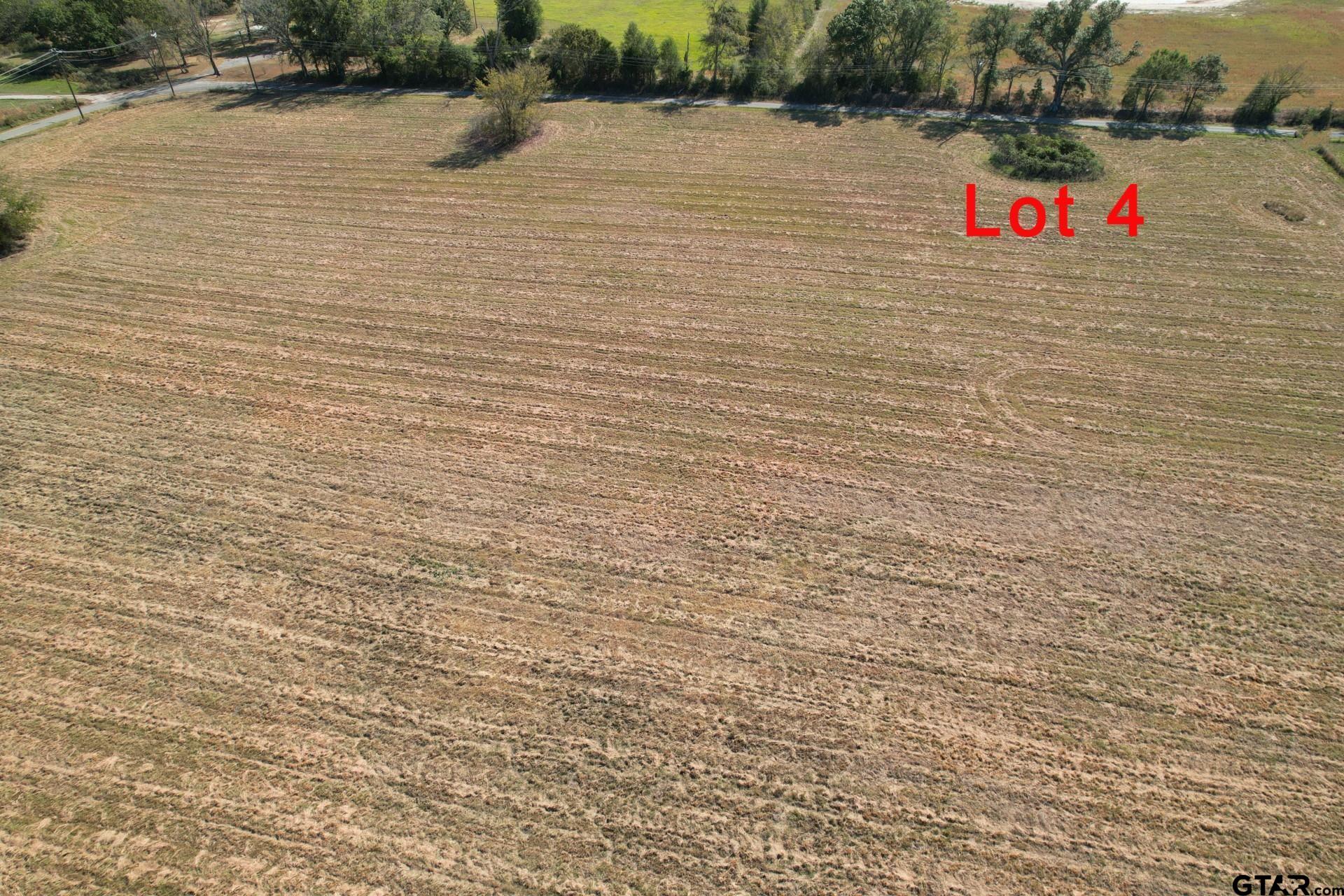 Lot 4 RS County Road 3150