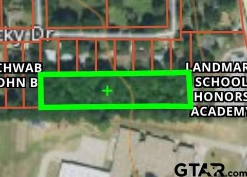 TBD Ricky Dr Lot 18 Palestine TX 75803