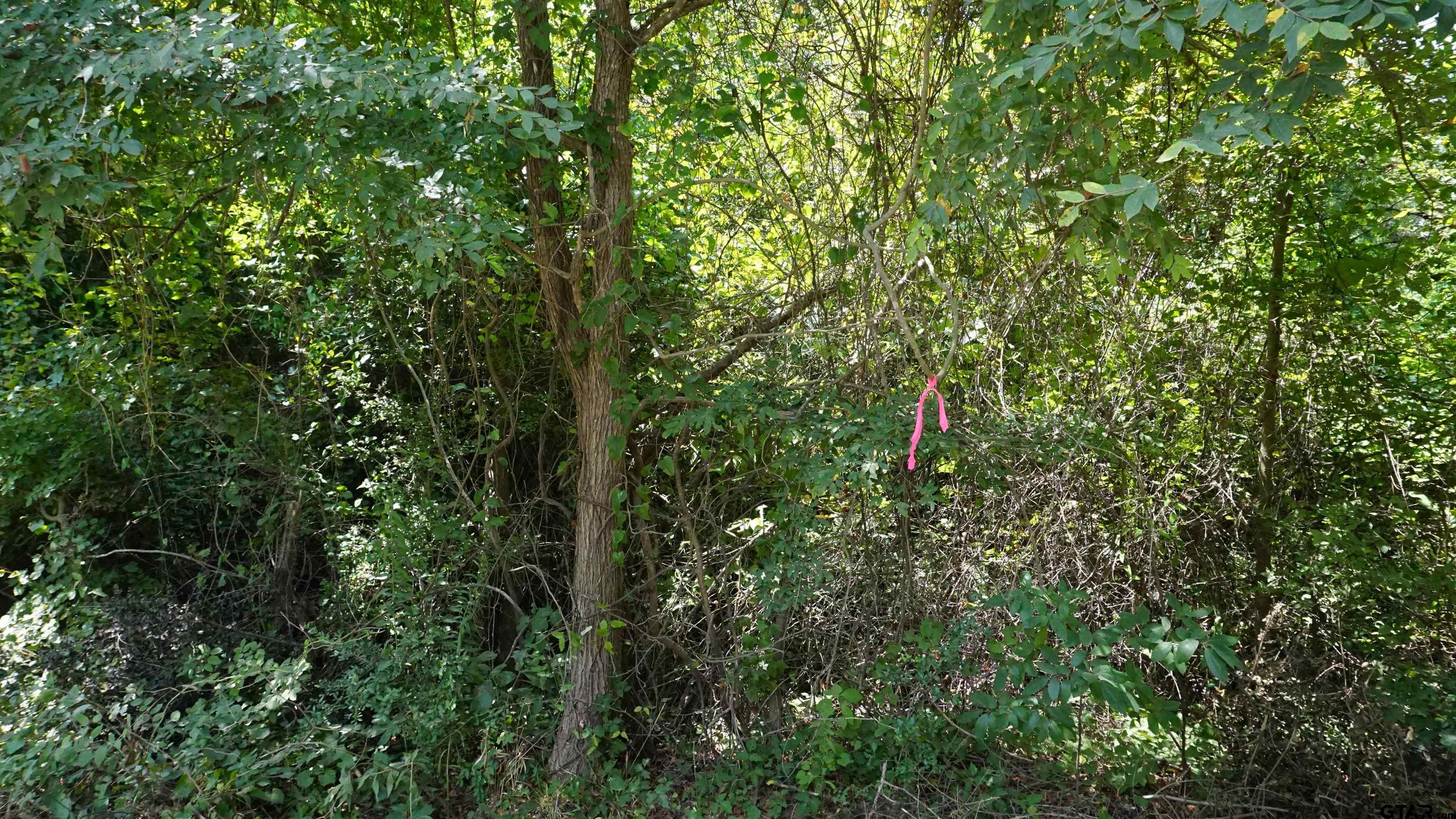 TBD Private Road 7907