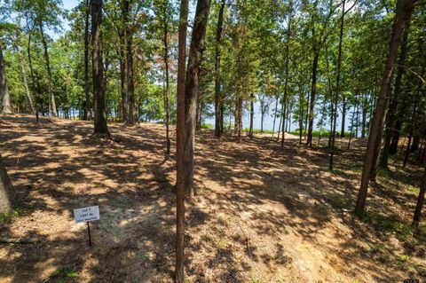 Lot 7 Big Oaks Leesburg TX 75451