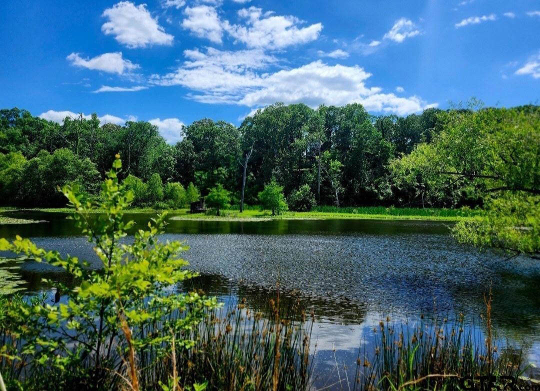 13952 County Road 371