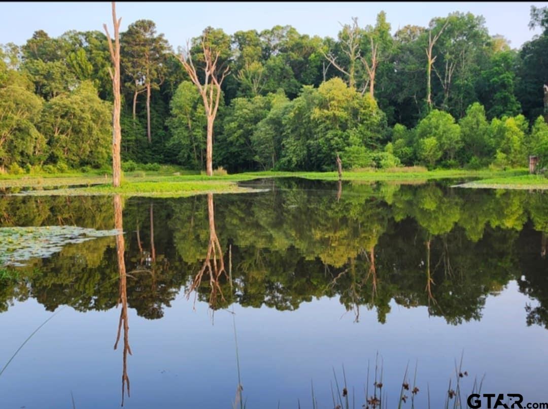 13952 County Road 371