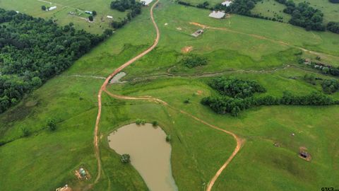 9710 CR 471 Henderson TX 75654