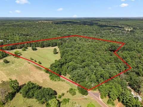 1081 CR 3875 Mineola TX 75773