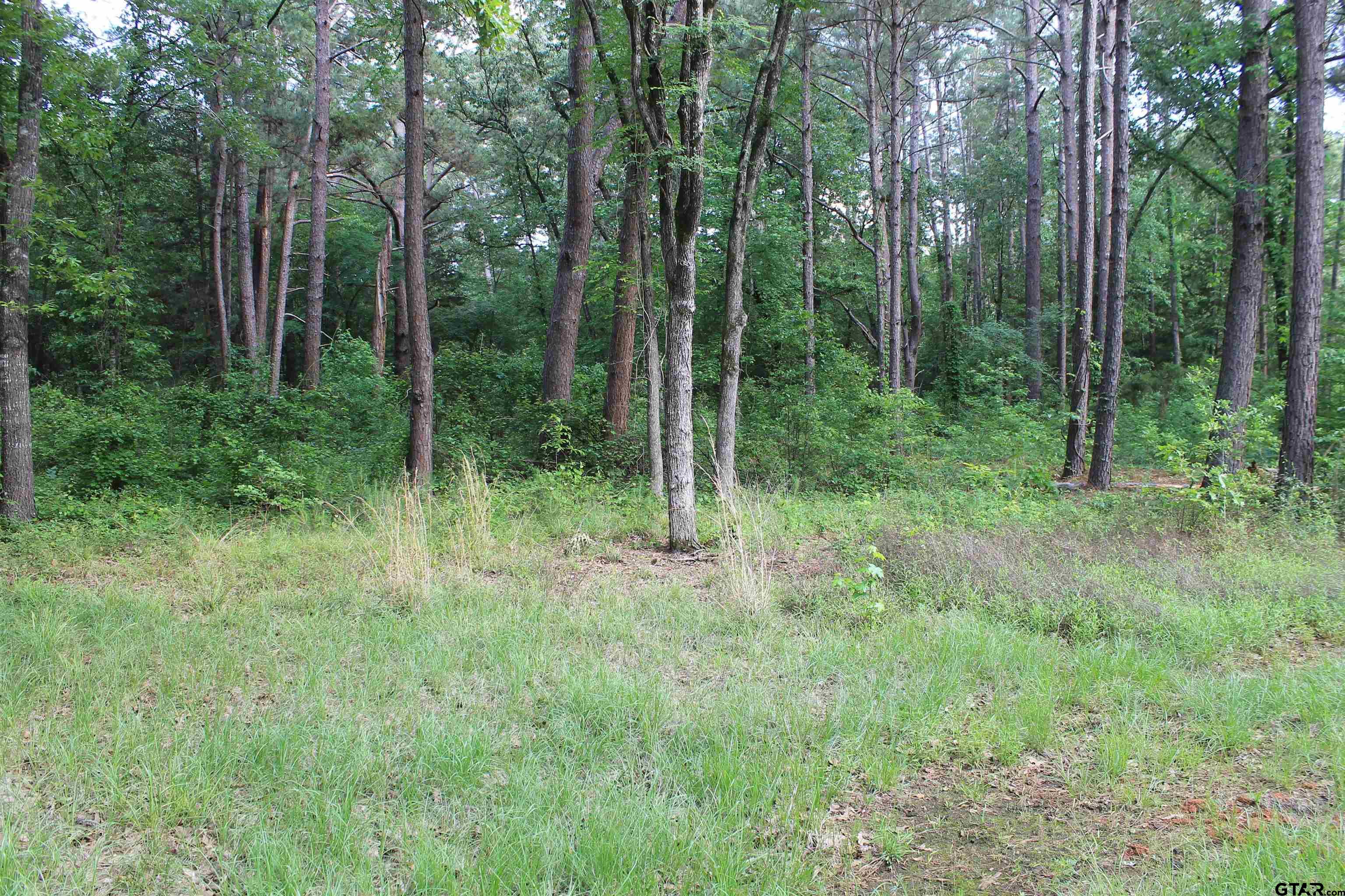 114 Cedar Ct