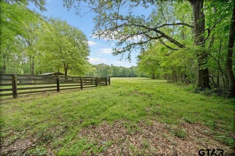 TBD VZ County Road 4505 Ben Wheeler TX 75754