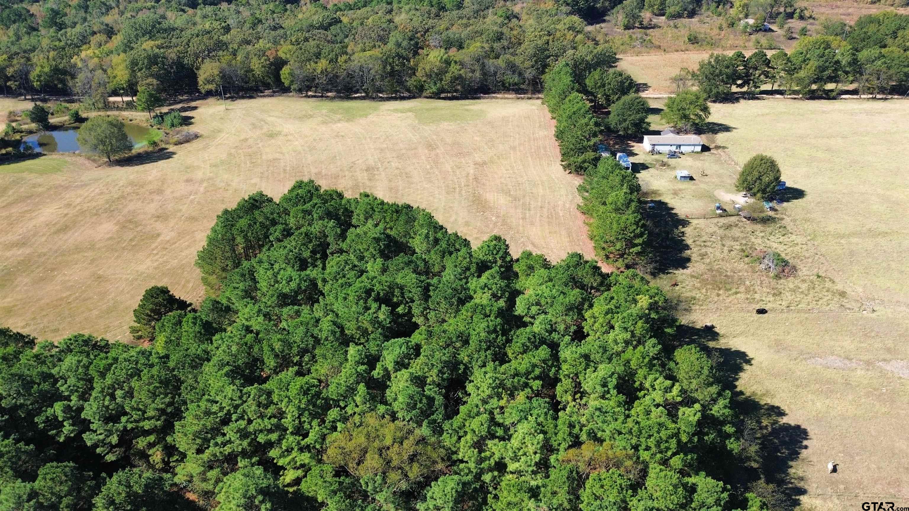 TBD Lot 1 County Road 3265