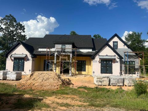 20956 Patriot Cir Tyler TX 75703