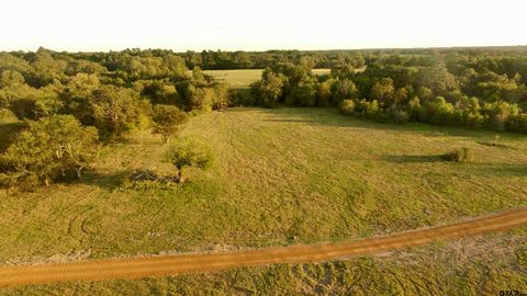 Lot 3 TBD Private Road 4552 Mt Pleasant TX 75455