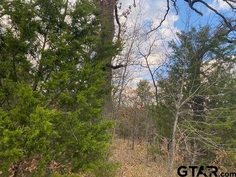 TBD CR 1200 Malakoff TX 75148