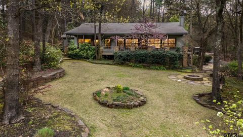 249 South Shore Dr Scroggins TX 75480