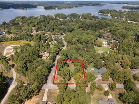 16691 S Lakeview Dr. Troup TX 75789