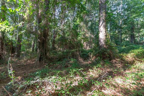 TBD CR 1237 Tyler TX 75703