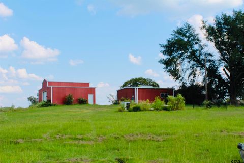 6820 FM 321 Tennessee Colony TX 75861