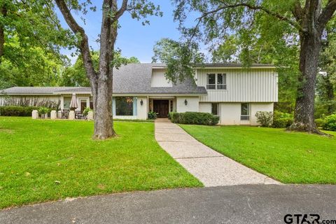 12993 CR 168 (Saline Creek Rd) Flint TX 75762