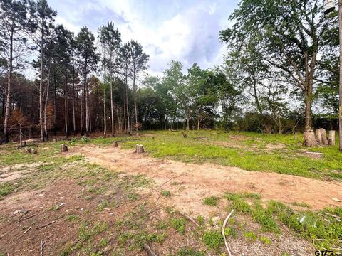 215 CR 4205 Naples TX 75568