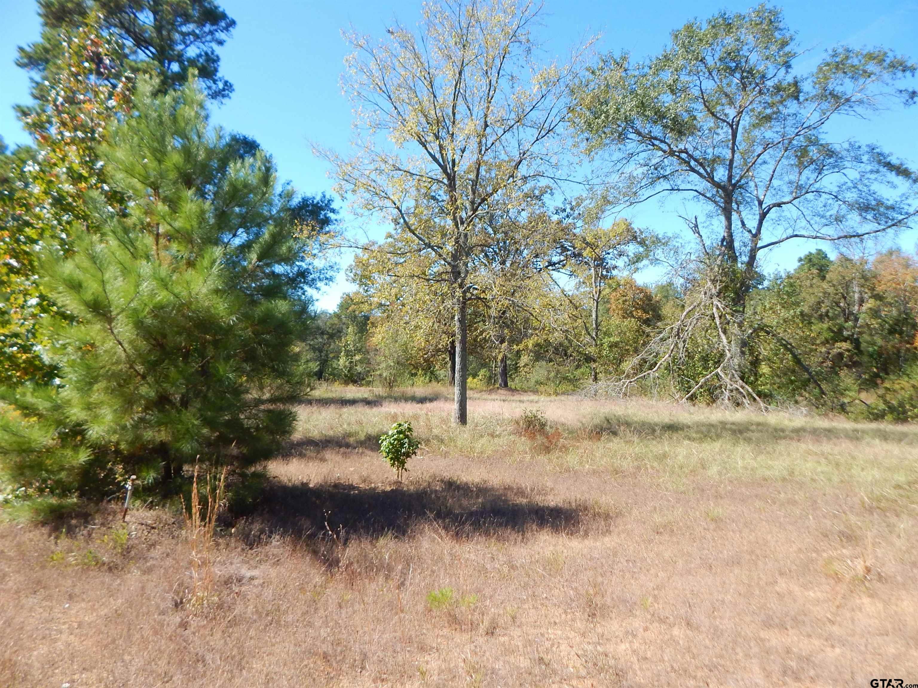 TBD 3.5 ACRES HWY 155