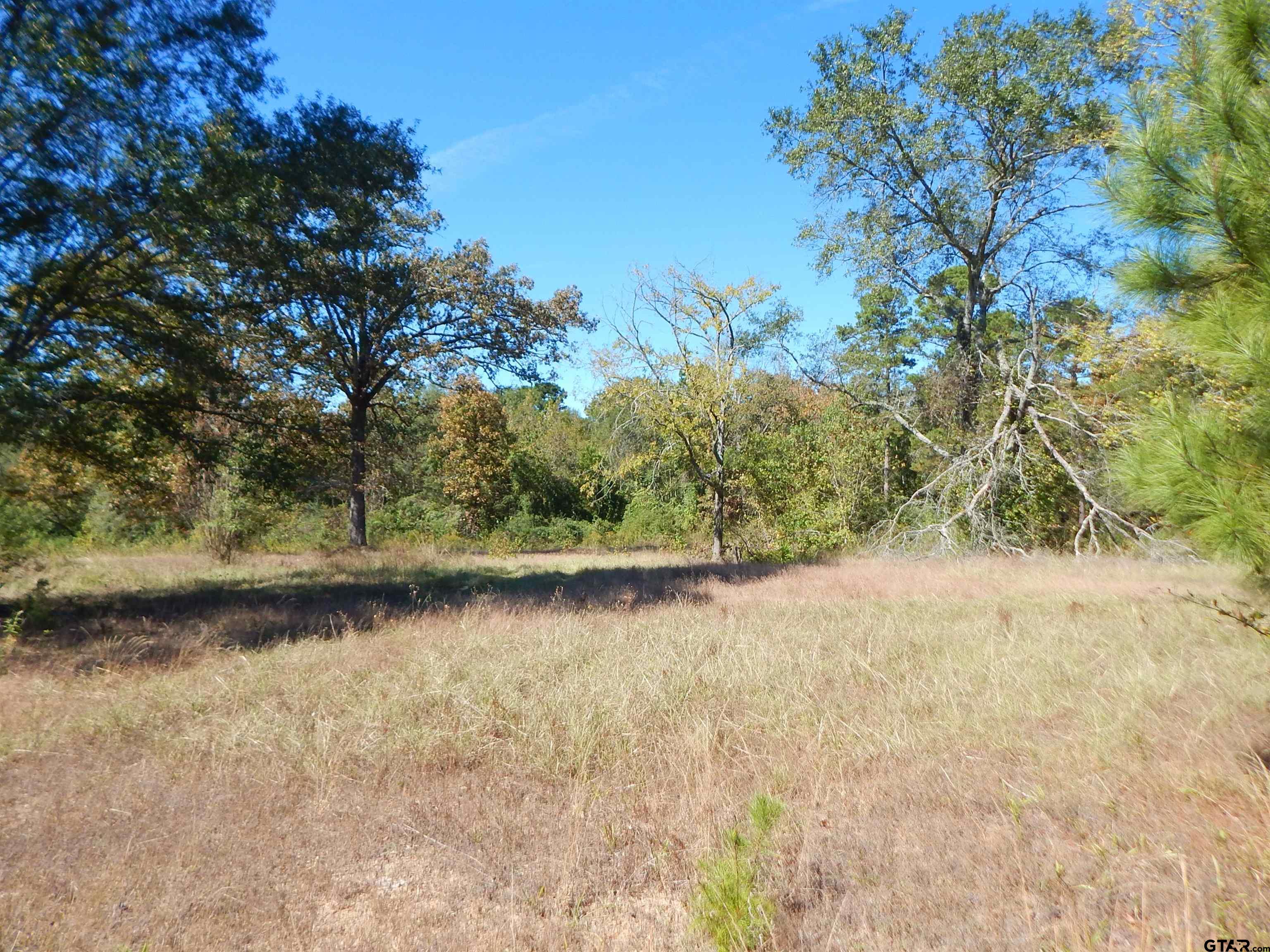 TBD 3.5 ACRES HWY 155