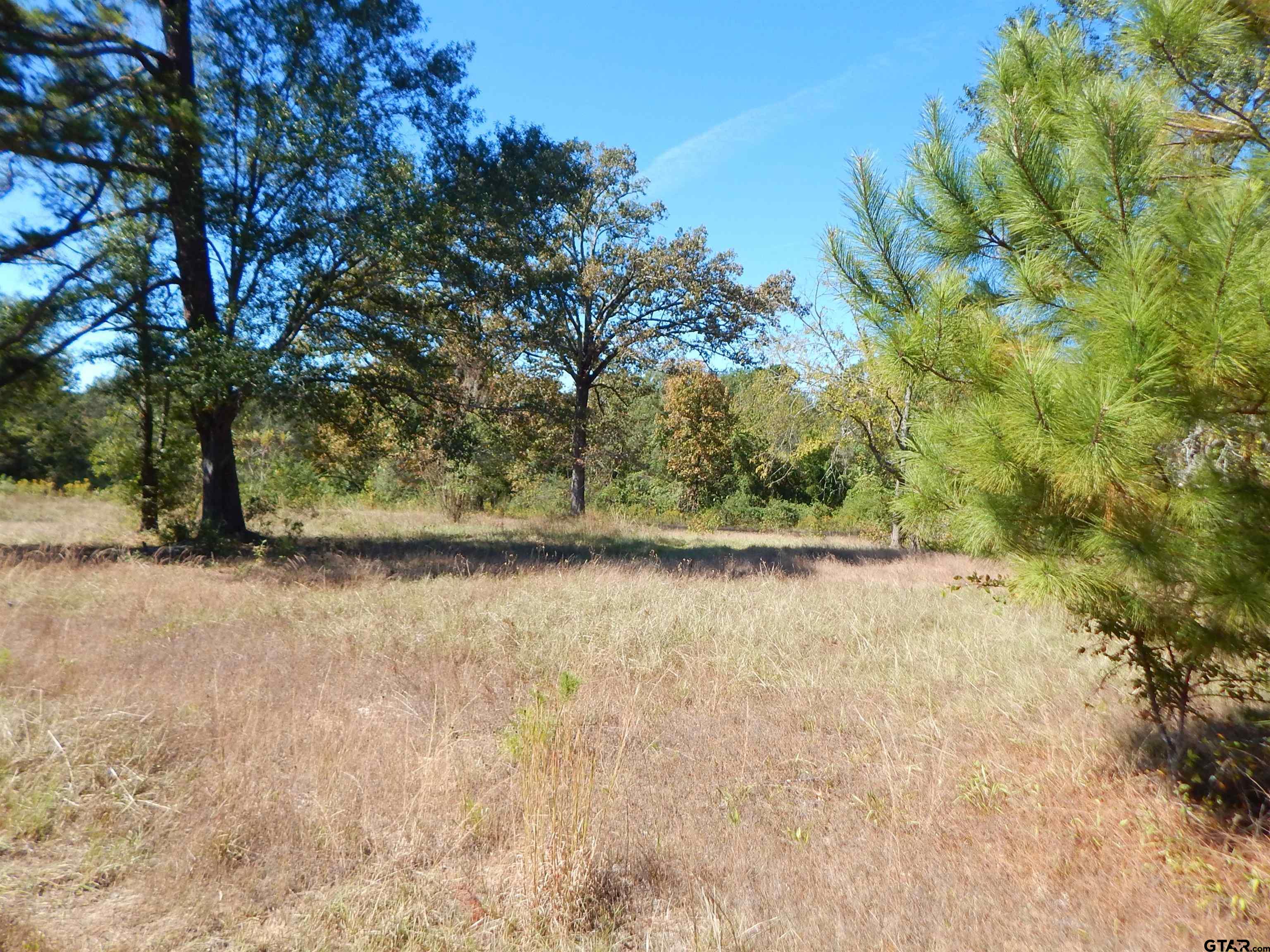 TBD 3.5 ACRES HWY 155