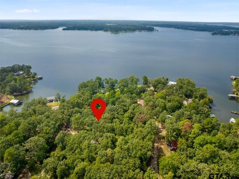 147 County Road 2608 Pittsburg TX 75686