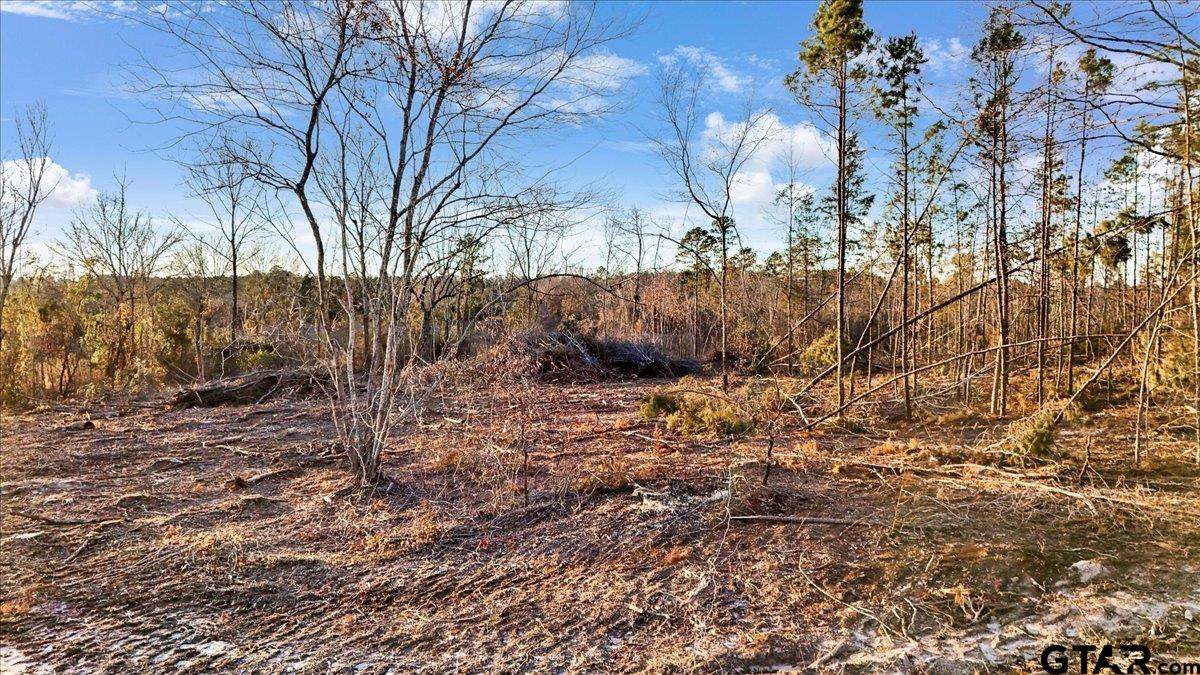 TBD County Road 3147 ( 14.545 ACRES)