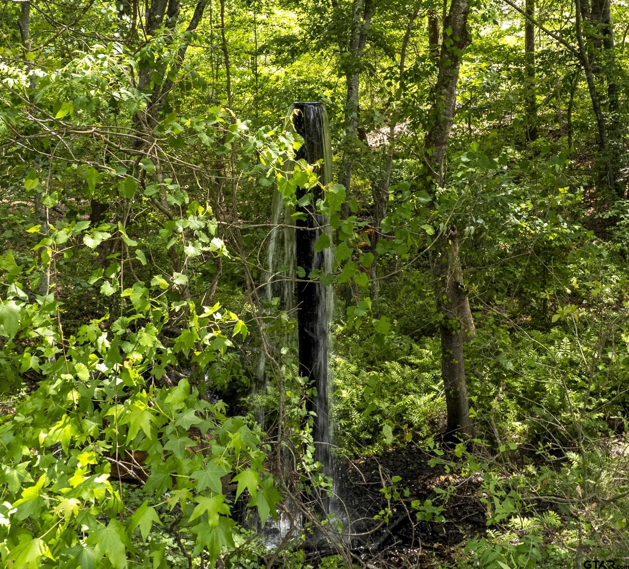 226 N FM 2869